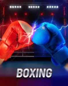 jlboss website image 27 showing boxing