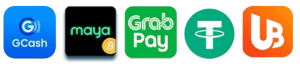 jlboss website image 18 showing payment