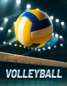 jlboss website image 26 showing volleyball